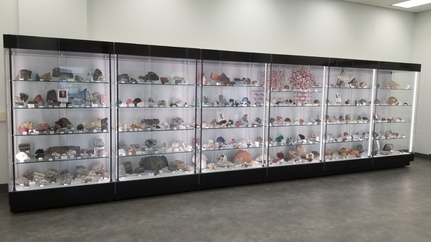 The display case, completely assembled and filled with specimens